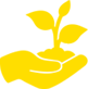 Plantados