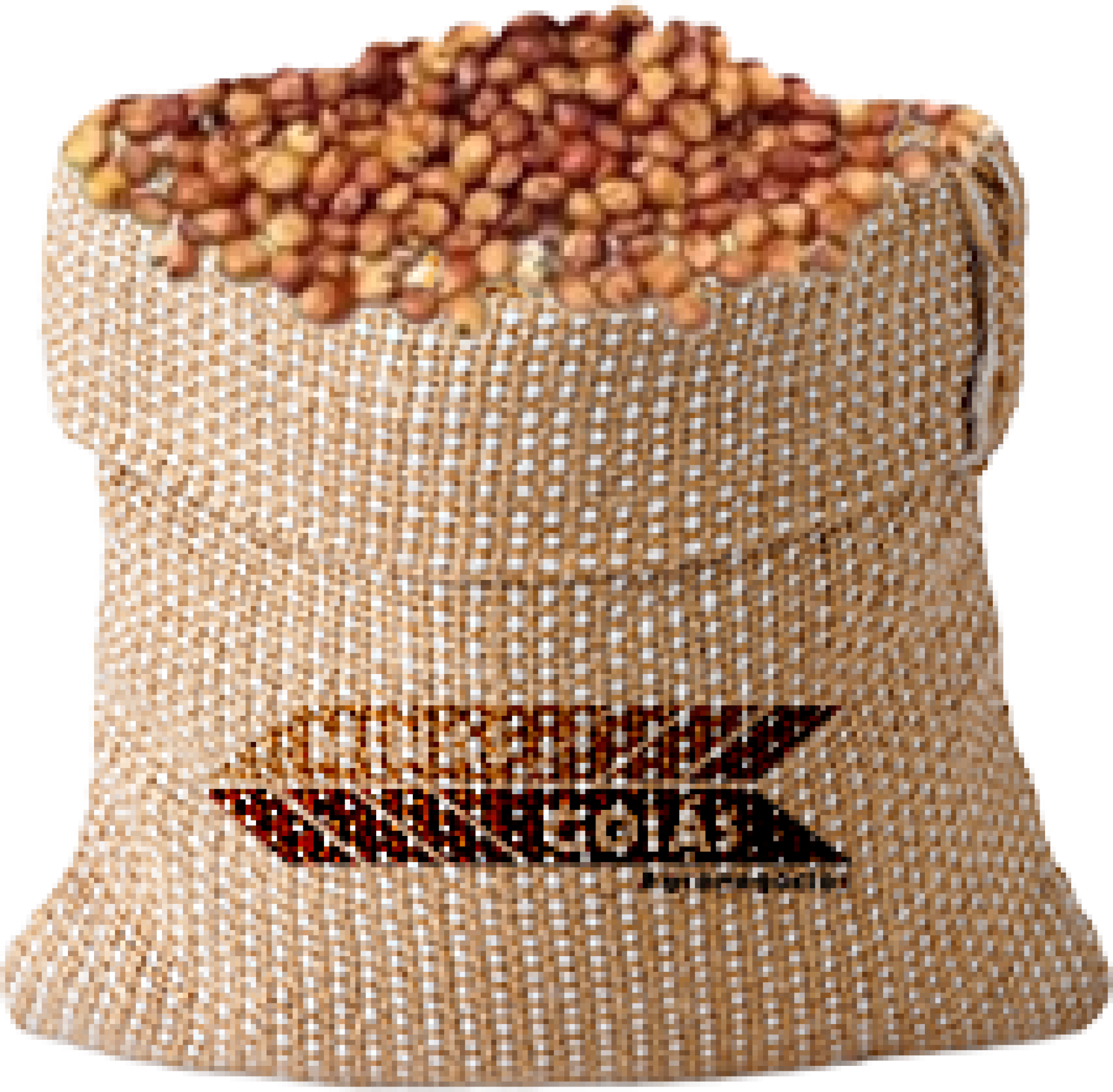 Semente de Sorgo - Minas Goiás Agrícola
